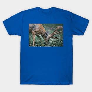 Wild life design T-Shirt